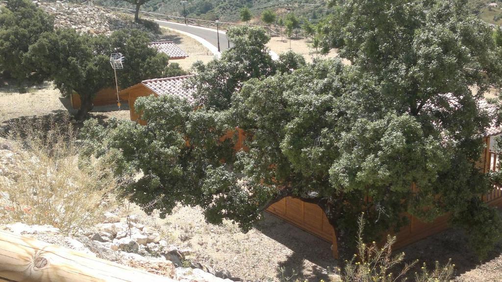 Complejo Pueblo Blanco Hotel Olvera Cameră foto